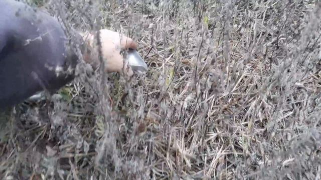Глубокорыхлитель 3