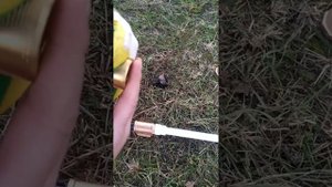 Подключение скважины к дому через скважинный адаптер