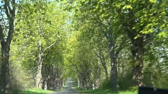Пренцлау 29. 04.2017- 01. 05. 2017г. часть 2