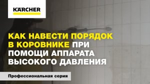 Как навести порядок в коровнике при помощи аппарата высокого давления