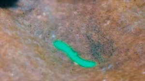 Интерактивная песочница (2в1) игра "Раскопки". "Ронплэй Дети" (Ronplay Kids)