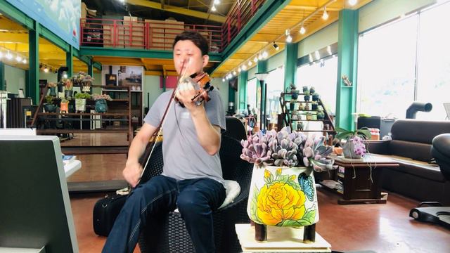 영영 -나훈아 ,연주 , 다육이(큐피트)Echeveria Cupid смотреть онлайн