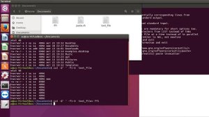 Linux команда paste - вывод на экран двух файлов рядом.