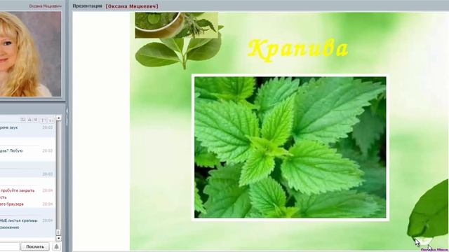 ТРАВЫ. РЕЦЕПТЫ И ЗАГОТОВКИ ИЗ ТРАВ. Оксана Мицкевич
