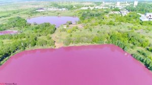 Розовое озеро | Самарская область