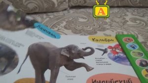 Говорящая книжка для детей о диких животных.Развивающая книжка для детей.