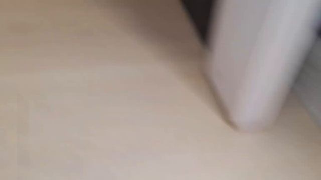 мышей(игрушка на видео) можно не бояться🤣#бенгал #бенгальскиекотята  #бенгалы #бенгальскаякошка