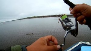 Иртыш. Трофейная рыбалка на щуку. Часть 2