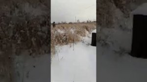 самодельный снегоход из мотоблока