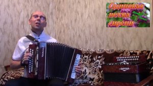 "Одинокая ветка сирени".(Валерий Залкин).Гармонь.