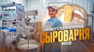 Сыроварня Елисеевых / Как сделать сыр "Камамбер стабилизированный" / Сыроварня Маджио ( Maggio )