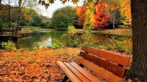 В осеннем саду. Исполняет автор слов и музыки Николай Саллас