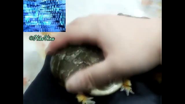 Delta PAT - How Fast Can You Pet? смотреть онлайн