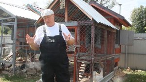 Куры не несутся ? //Дрожжевание Корма для кур / Период линьки у кур// Дрожжи для кур несушек