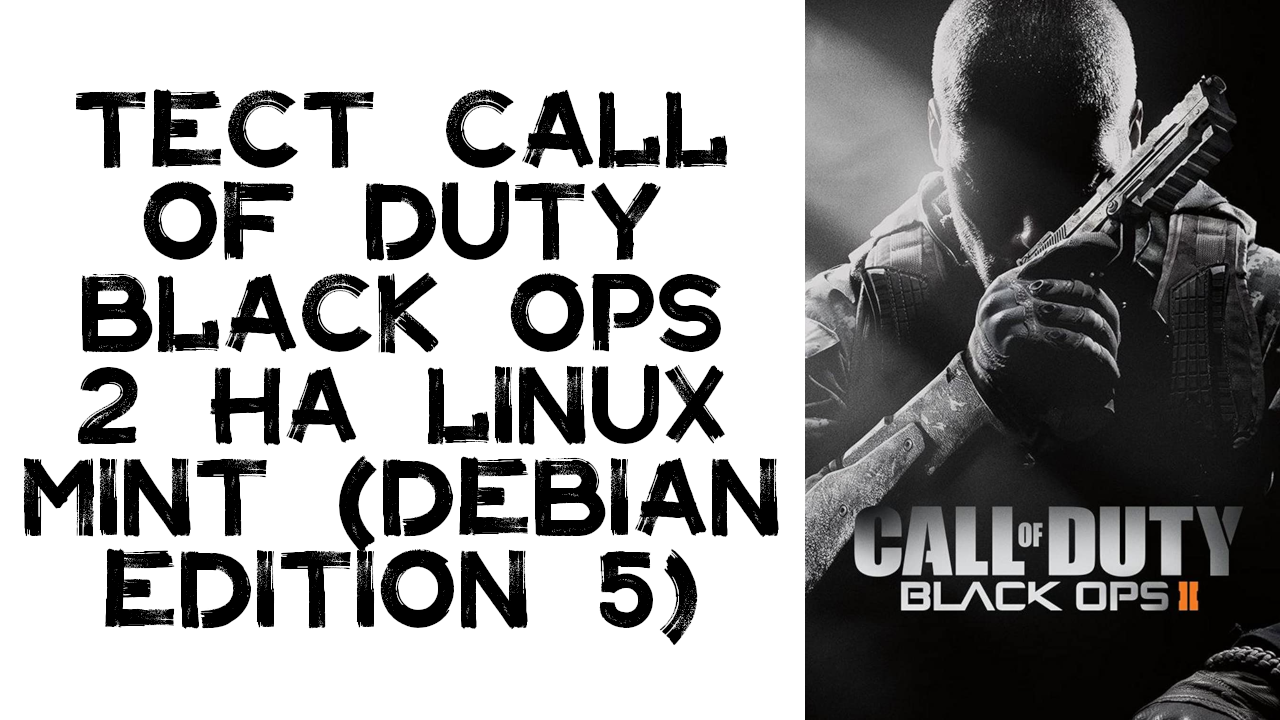 Тест Call of Duty Black Ops 2 на Linux Mint (Debian edition 5)