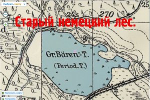 Коп в старом лесу. Немецкое кладбище! Мое первое серебро. Metal Detecting.