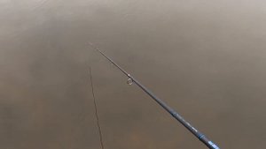 Спиннинг 2020. Мой выбор Ул. спиннинга для щуки и окуня. Ловля щуки весной 2020. Black Hole Rimer