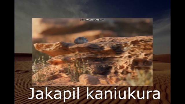 Новый динозавр из аргентины. смотреть онлайн