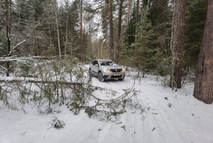 Поездка по Калужской области. Мосальск, Юхновский район, военно-исторические места и тропы.