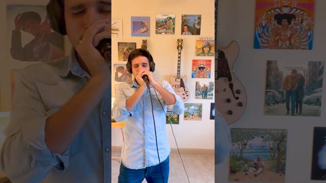 Hallelujah | Harmonica