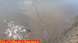Рыбалка на речке в самарской области. Рыбалка 63 регион ловим подлещиков на речке.Рыбалка в Самаре.