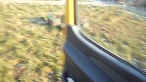 Mercedes-Benz Sprinter 313 CDI 2.2 обзор