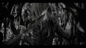 Страшные истории на ночь - Взяла чужое и уме*ла! Страшилки на ночь,мистика,истории.