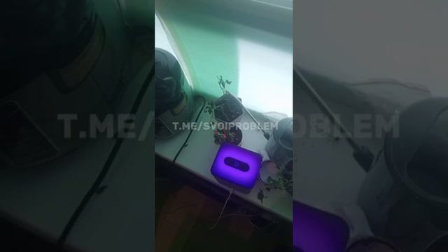 1000080079.mp4 смотреть онлайн