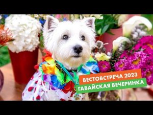 ВестоВстреча 2023