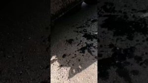 приключение Вжика. Урезали и поменяли мотор Рено твинго Renault twingo