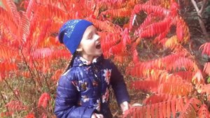 песня Лети, журавлик.Вероника Игнатова.