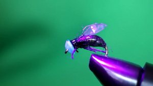 Вяжем навозную муху.