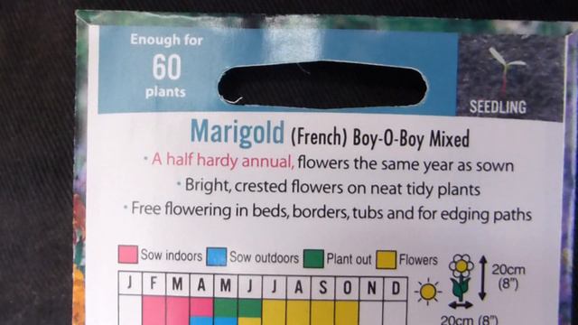 Marigold Seeds - Tagetes patula - Flauelsblóm - Blómafræ - Sumarplöntur смотреть онлайн