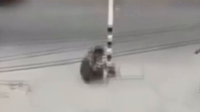 Уличный певец не получает денег ни от кого, тогда он идёт к собаке и плачет обнимая её.?