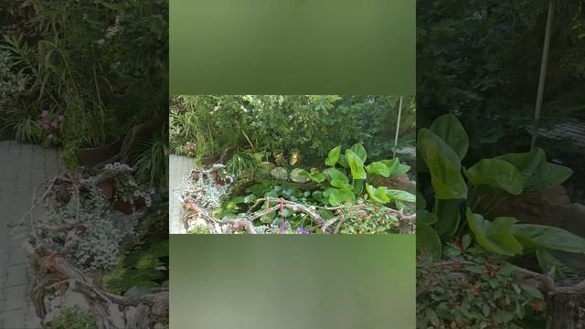 Старый парк Кабардинка смотреть онлайн