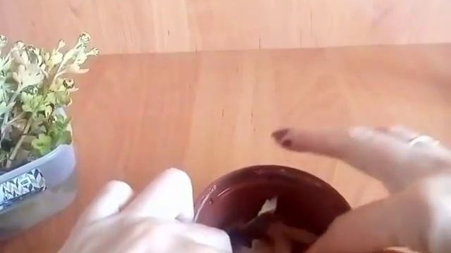 Хризантемы осеннее ЧЕРЕНКОВАНИЕ Размножаем Xrizantemmanin Chrysanthemum how to save hrizantemy муль смотреть онлайн