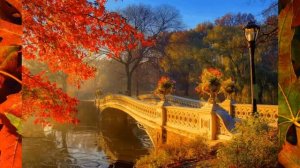 ВИНОВАТ ЛИСТОПАД - ВИА " ДОБРЫ МОЛОДЦЫ"