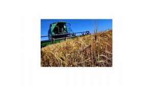 Перечень профессий в сельском хозяйстве кому положена надбавка к пенсии