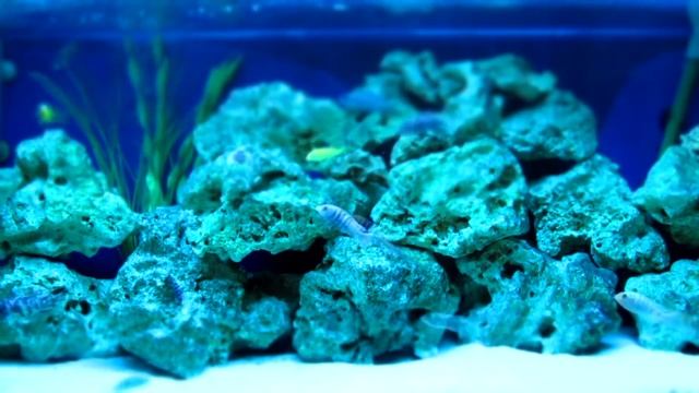 Miniature Effect sx220 Hs смотреть онлайн