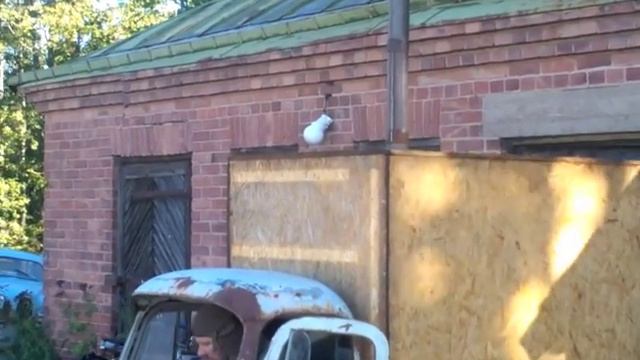 Sauna Vespa смотреть онлайн