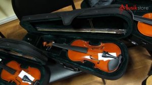 Купить скрипку  какую? Как выбрать и что нужно знать? Обзор моделей от Мьюзик-Стор | musik-store.ru