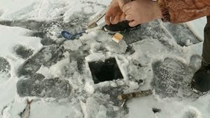 ЗИМНЯЯ САМОПОДСЕКАЮЩАЯ УДОЧКА!!! Уловистая снасть, которая ловит всю рыбу. СДЕЛАЙ СЕБЕ ТАКУЮ!!!