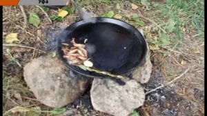 Блюдо из саранчи по-уфимски!