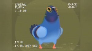 Голубь морген дрифтер флексит под адский фонк