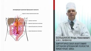 Лекция. Хирургическая анатомия органов брюшной полости  Кишечные швы — Большаков