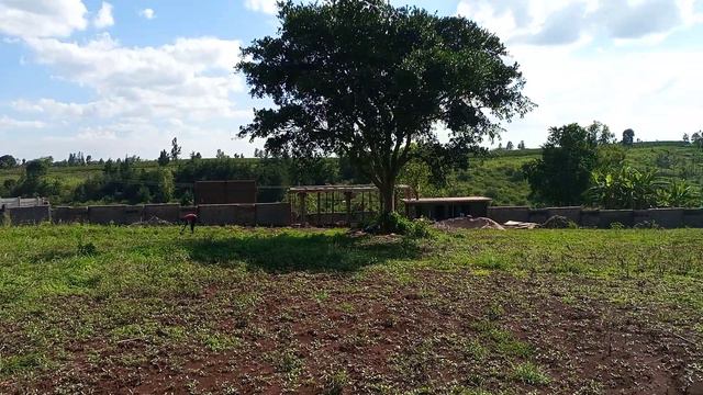 50 by 100 Plots on Gatanga Road (Touching tarmac) смотреть онлайн