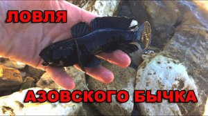 ЛОВЛЯ АЗОВСКОГО БЫЧКА /// Рыбалка на кубани /// Выпуск № 4