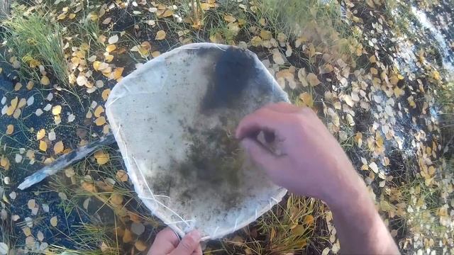 ЛОВЛЯ МОРМЫША - БОРМЫША | КАК?ГДЕ?ЧЕМ?