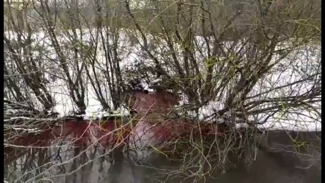 Производство загрязнают реку смотреть онлайн