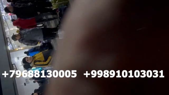 ТАШКЕНТ МОСКВА АВТОБУС ТОШКЕНТ МАСКВА АВТОБУС УЗБЕКИСТАН РОССИЯ АВТОБУС 2024